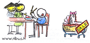 was ist toc weng tod